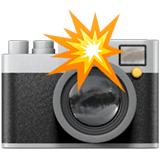 camera_with_flash